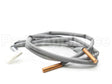 6024014 Daikin-Mcquay Thermistor Assy. (Gas)