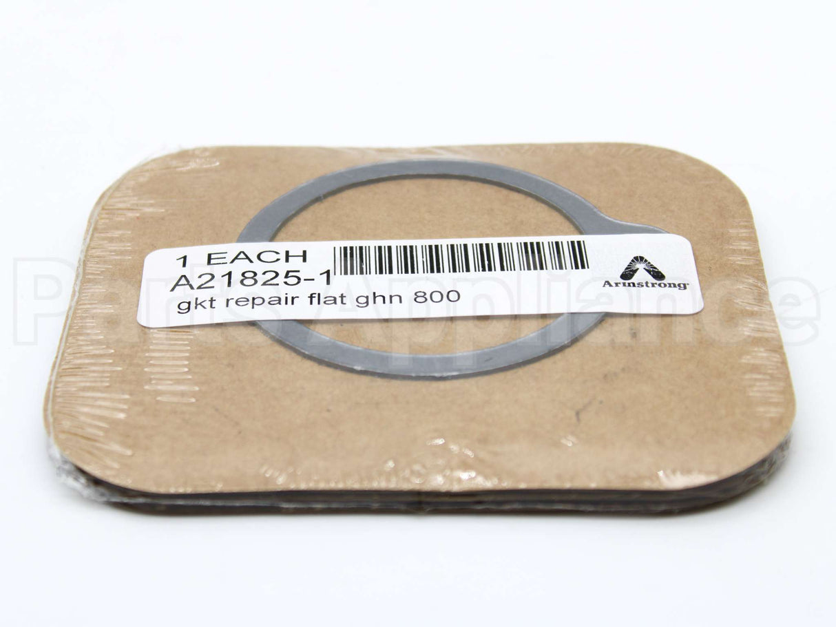 A21825-1 Armstrong International Gasket F/800,880,811,881 Trap