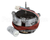 6033154 Bki Motor, 1Ph, 25 Hp