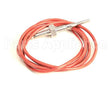 60334 Blodgett Condensing Sensor