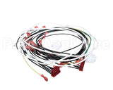 60389-001 Henny Penny Harn-120V/60/1 Ofg/Oga-32X So