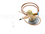 61-102211-39 Rheem-Ruud Txv Valve R410A 4Ton 3/8X3/8