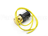 61-25055-08 Rheem-Ruud 24V Solenoid Assembly