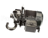 6105-003-52-78 Jackson Motor, Pump (Jsp2U3M) 240-480V