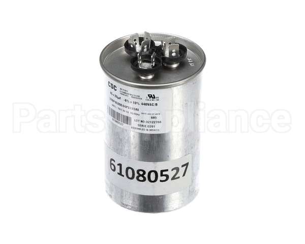 61080527 Friedrich Capacitor