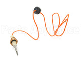62-24271-02 Rheem-Ruud Dsi Ignitor