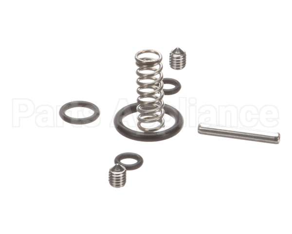 620047347 Cornelius Kit Service Sph Valve