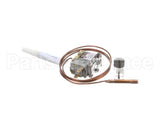 620060021 Cornelius Kit Timer Initiate Pressure