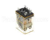 620204550 Cornelius Relay 2 Pole 120 V
