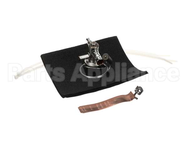 620204882 Cornelius Valve Thermostatic Expansion Valve 830W-