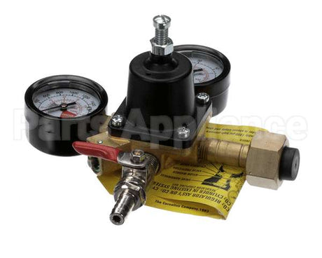 620709808 Cornelius Regco2 P 1X60 1/4Fl