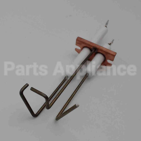62261 Wayne Combustion Electrode Assy F/ P250Afdin