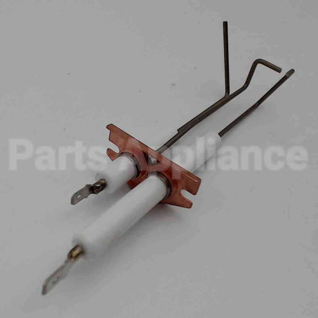 62261 Wayne Combustion Electrode Assy F/ P250Afdin
