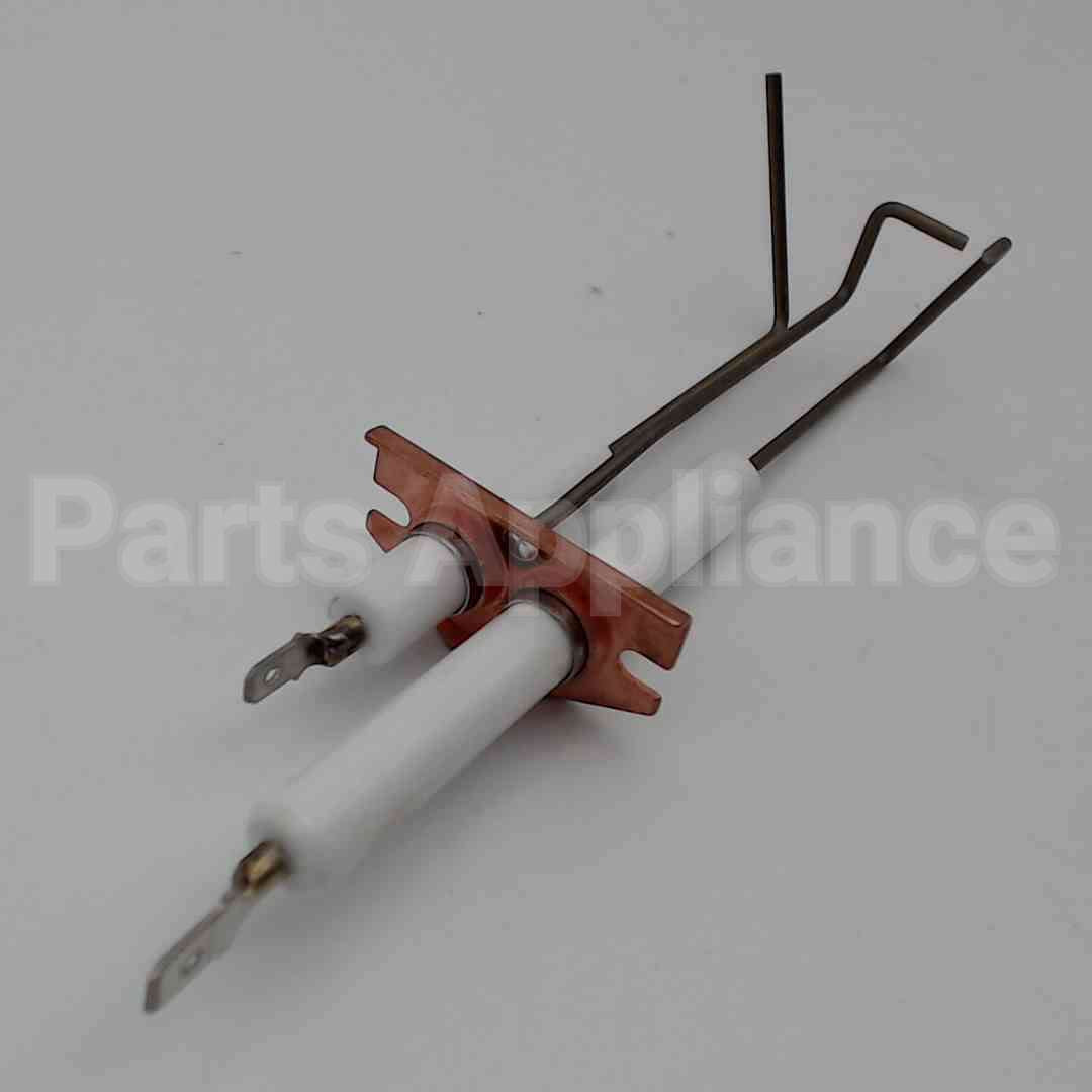 62261 Wayne Combustion Electrode Assy F/ P250Afdin