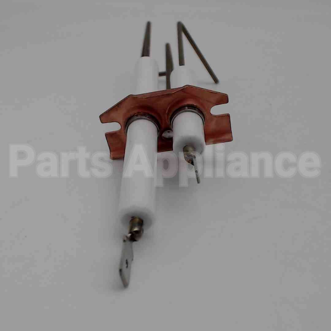 62261 Wayne Combustion Electrode Assy F/ P250Afdin