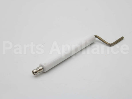 62391-002 Wayne Combustion Electrode F/Hsg