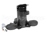 629096901 Cornelius Kit Comp Viper 3/4Fl 60Hz