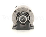 63381 Perlick Motor, 1/4 Hp 115V/60 Carbonat