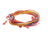 65833 Henny Penny Harness-Control Output 391/691