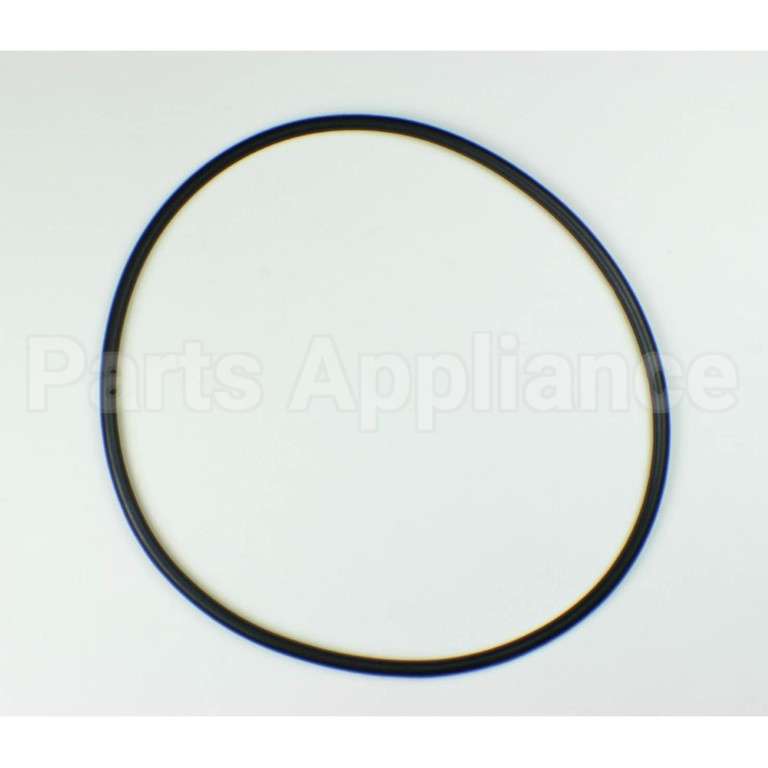 WS03X10054 GE O-Ring