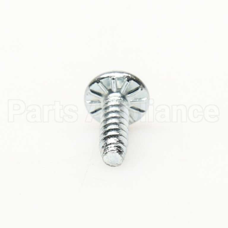 WE2M173 GE Screw