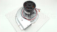 R46930-001 Armstrong Furnace Ind Mtr Assy 1/20Hp 208-230V