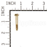 690670 Briggs & Stratton Screw