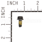 690877 Briggs & Stratton Screw