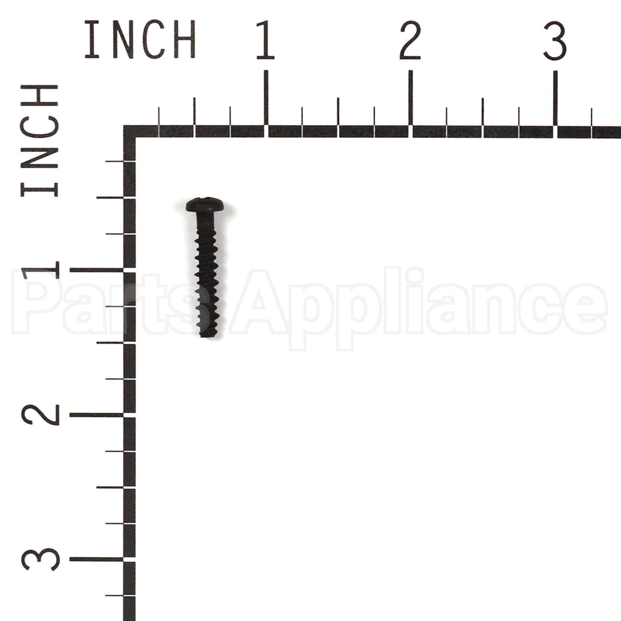 691138 Briggs & Stratton Screw
