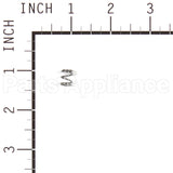 691592 Briggs & Stratton Spring-Needle Valve