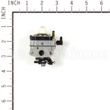 696949 Briggs & Stratton Carburetor