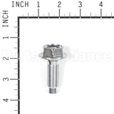 698139 Briggs & Stratton Screw