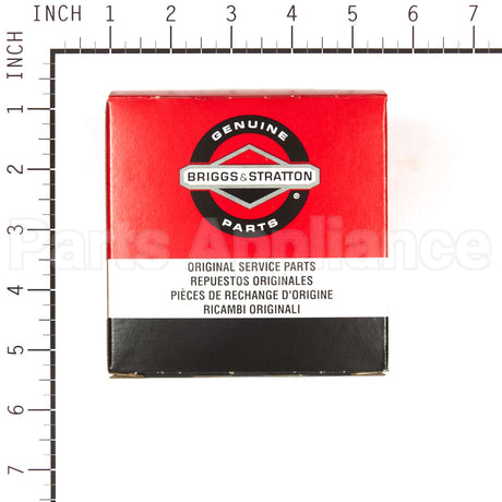 698973 Briggs & Stratton Cleaner-Air
