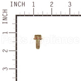 699230 Briggs & Stratton Screw
