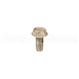 699234 Briggs & Stratton Screw