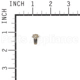 699234 Briggs & Stratton Screw