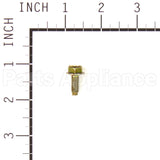 699481 Briggs & Stratton Screw