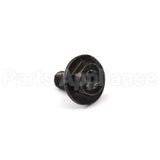 699854 Briggs & Stratton Screw