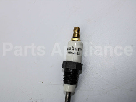 E5-FRS-4-12 Auburn 12" Flame Rod - 1/4" Npt