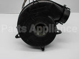 70-102691-81 Rheem-Ruud 120V Induced Draft Blwr W/Gskt