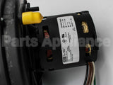 70-102691-81 Rheem-Ruud 120V Induced Draft Blwr W/Gskt
