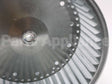 70-18625-01 Rheem-Ruud 10"Dia 9"W Cw 1/2"Wheel