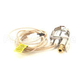 70000749 Compatible Wood Stone Pilot Ignitor Assy, Nat