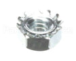 70018 Cornelius Nut Hex Ss 1/4-20 Keps
