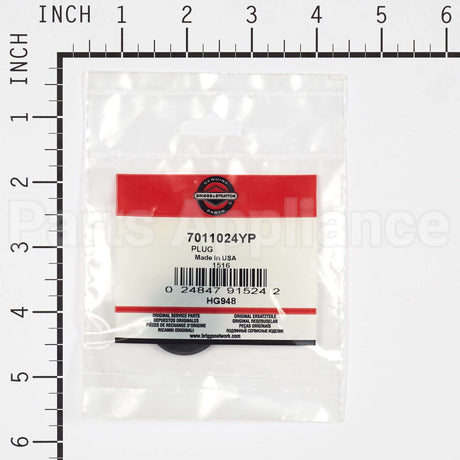 7011024YP Briggs & Stratton Plug