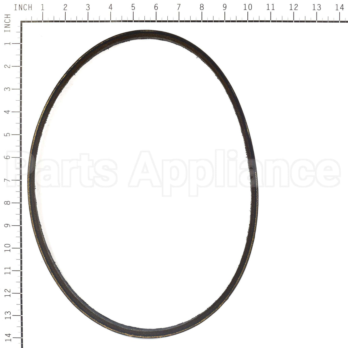 7013939YP Briggs & Stratton Belt Blower
