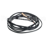 70289342 International Environmental Tstat Sensor Probe