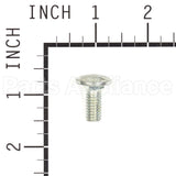 703185 Briggs & Stratton Rhssnb