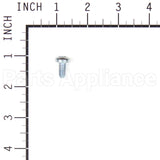 703961 Briggs & Stratton Screw 1/4-20 X .550