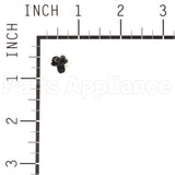 704061 Briggs & Stratton Screwhex #10-32X.25